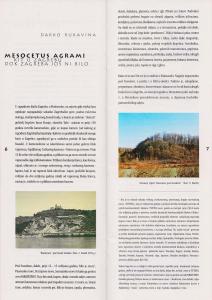 mesocetus-agrami2